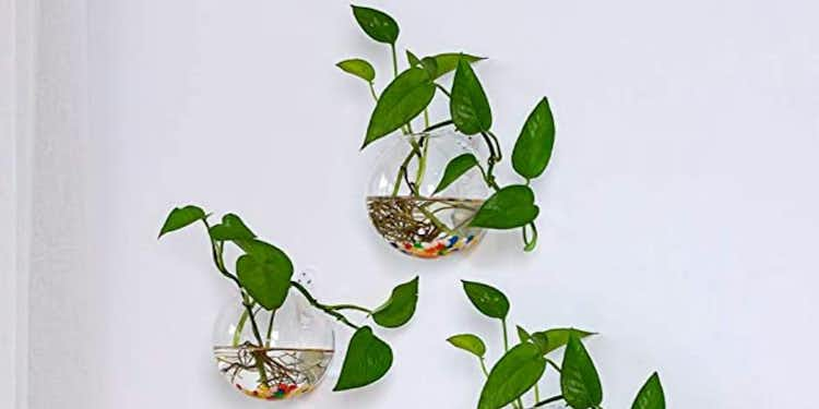 Wall Hanging Planters