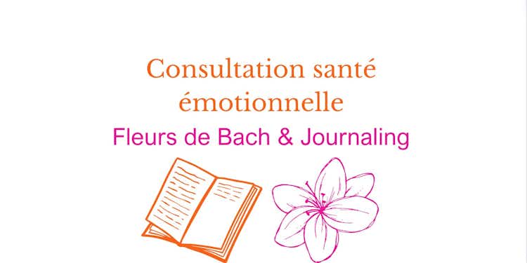 Consultation Fleurs de Bach et Journaling 