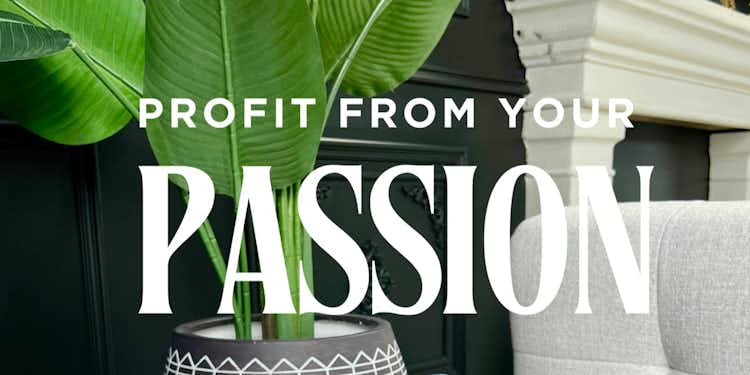 Turn your Passion into Profit