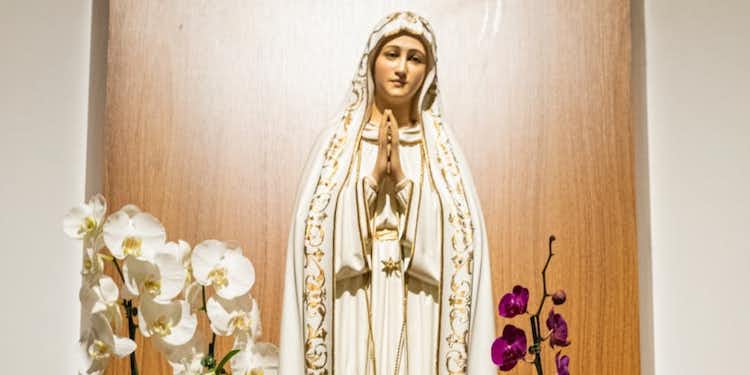 White Roses of Mother Mary