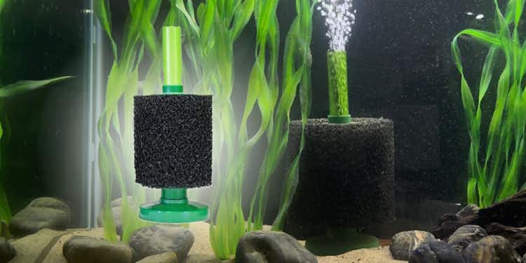 Coarse Sponge Filter From Aquarium Co-op