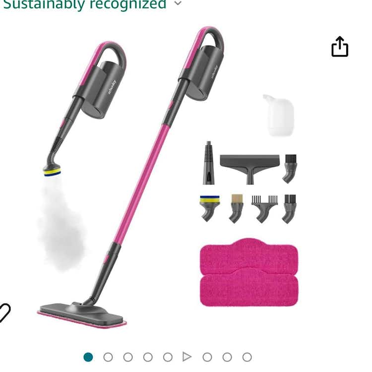 Viral pink steam mop
