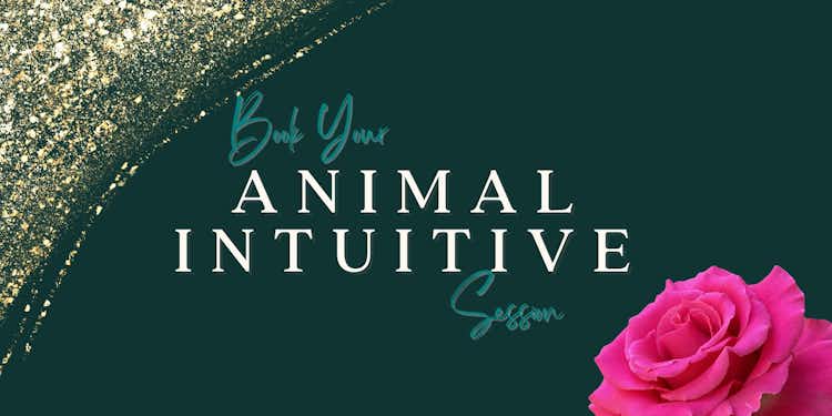 Book Your Animal Intuitive Session