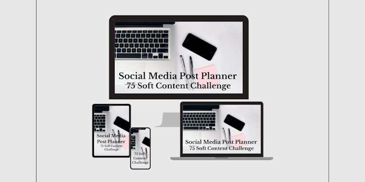 Social Media Post Planner + Accountability Tracker