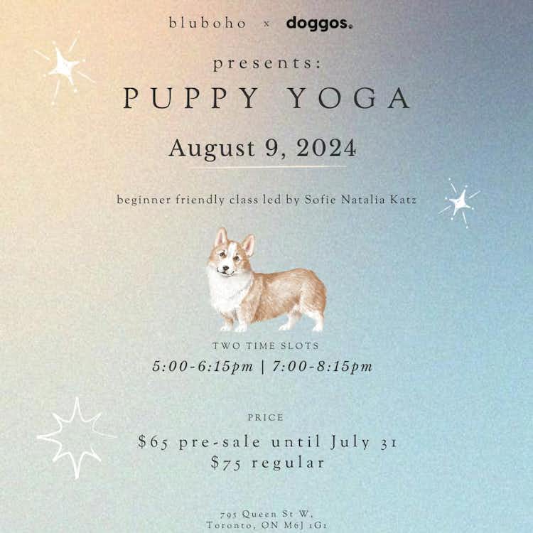 Puppy Yoga | Two sessions 