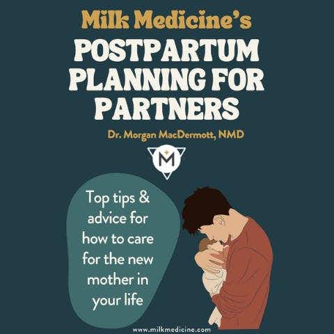 Download FREE Postpartum Planning for Partners Guide