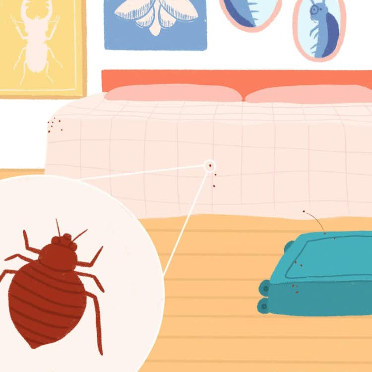 Have Bed bugs or were exposed to them? 