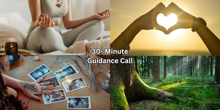 30 minute Guidance Call