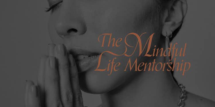 The Mindful Life Mentorship (4 pack)