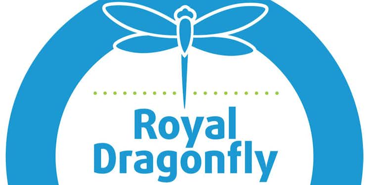 Honorable Mention for Business & Finance | Royal Dragonfly Book Awards