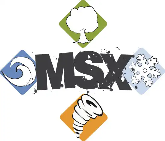 MSX 