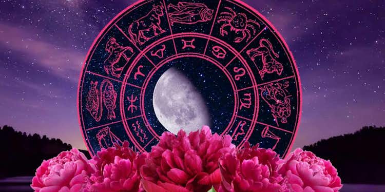 What does Venus in Leo have in store for you? (Mini-Reading)