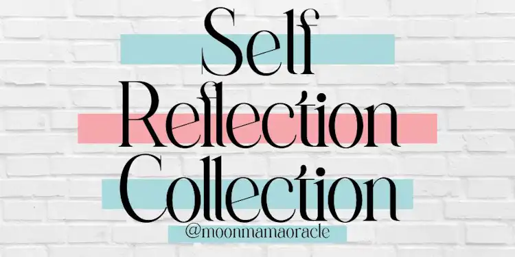 Self-Reflection Collection
