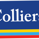 colliers avatar