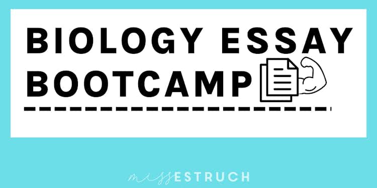 Sign Up to my ESSAY BOOTCAMP