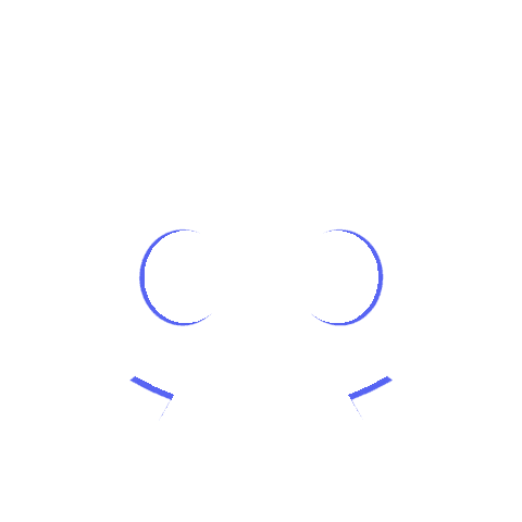 Discord ( infos + Call with subs )