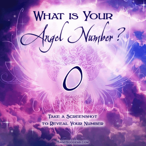 The Numerology Journal: Daily Reflection Through the Numbers 